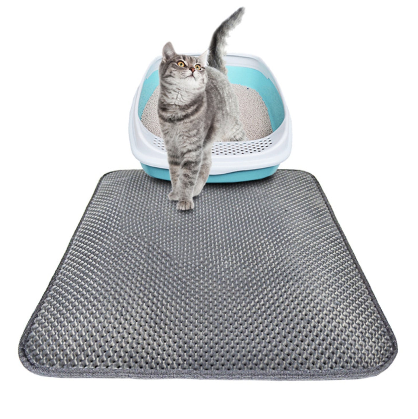 Double Layer Litter Cat Bed Pads Pet Cat Litter Mat Trapping Pets Litter Box Mat Pet Product Bed For Cats House Clean Mat